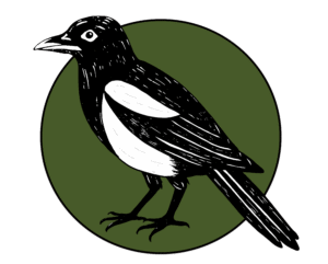 A magpie against a green circle background.
