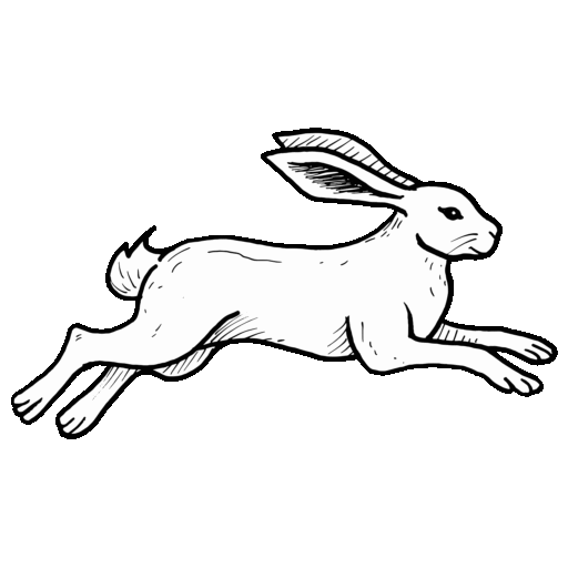 A white hare leaping.